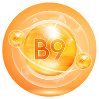 Vitamin B9 (Folate)