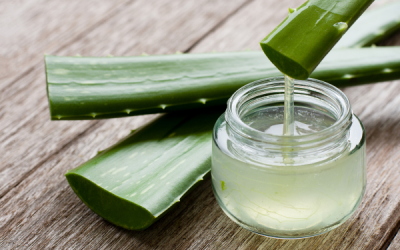 Maximizing Muscle Relief with Aloe Vera Cream